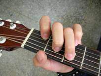 Fingertip